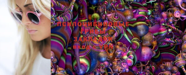 эйфоретик Аркадак